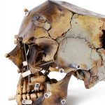Forensic Science Biography Kindle eBook The History Press 255 Page-0