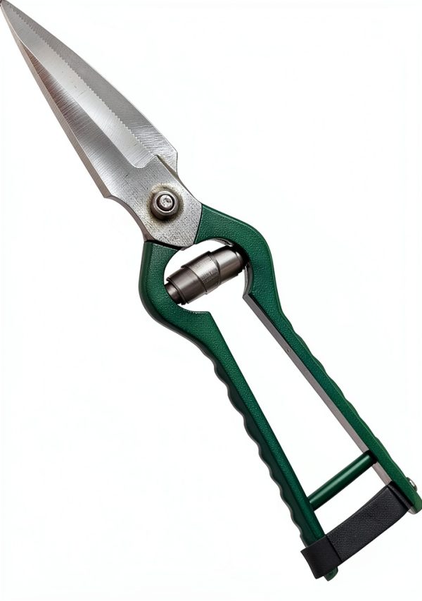 Jeffers Livestock Hoof Trimming Shears - 10" Heavy Duty Serrated Foot Rot Shears, Double Blade, Sharp Pointed Hoof Cutter, Green Handle, Strong Animal Hoof Trimming Scissors-0