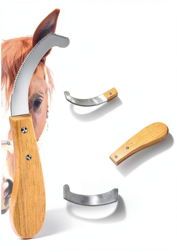 Bot Egg Knife for Horses, Horse Farrier Tool Grooming Bugs, Stainless Steel Blade with Wood Handle, Precision Grooming Tool for Bot Egg Removal-3