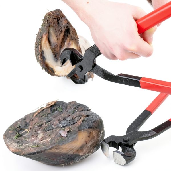 Horse Hoof Nipper 16 Inches Hoypeyfiy Durable Hoof Trimmer-1